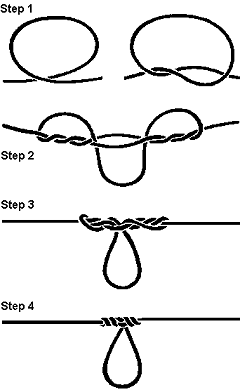 Fishing Knots And Knot Tying From Fishing Cairns - Queensland - Australia